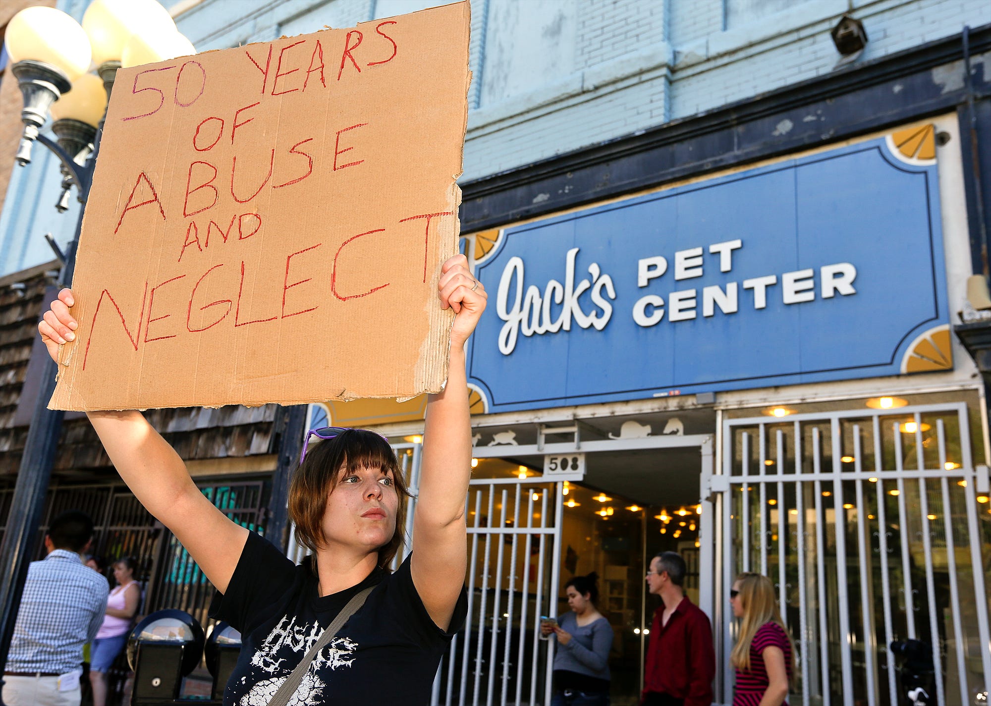 dog letterman jacket
